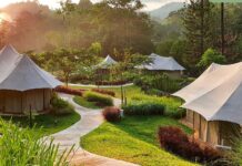 Escape to TiaraSA Escapes: Where Luxury Meets Nature TiaraSA Escapes
