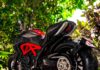 A Guide to the Most Popular Ducati Bike Models Ducati Bike